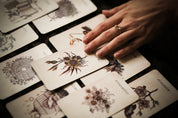 The Botanical Oracle