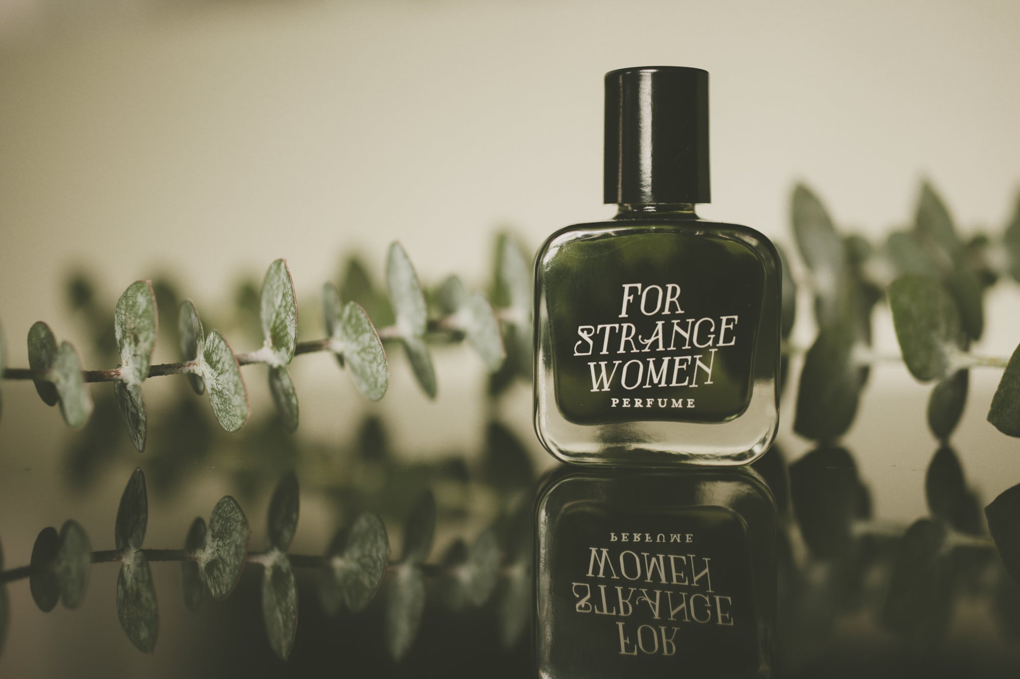 Galbanum - Accord Extrait