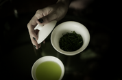 Sencha - Accord Extrait