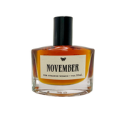 November in the Temperate Deciduous Forest