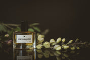 Astral Projection - Perfume Oil