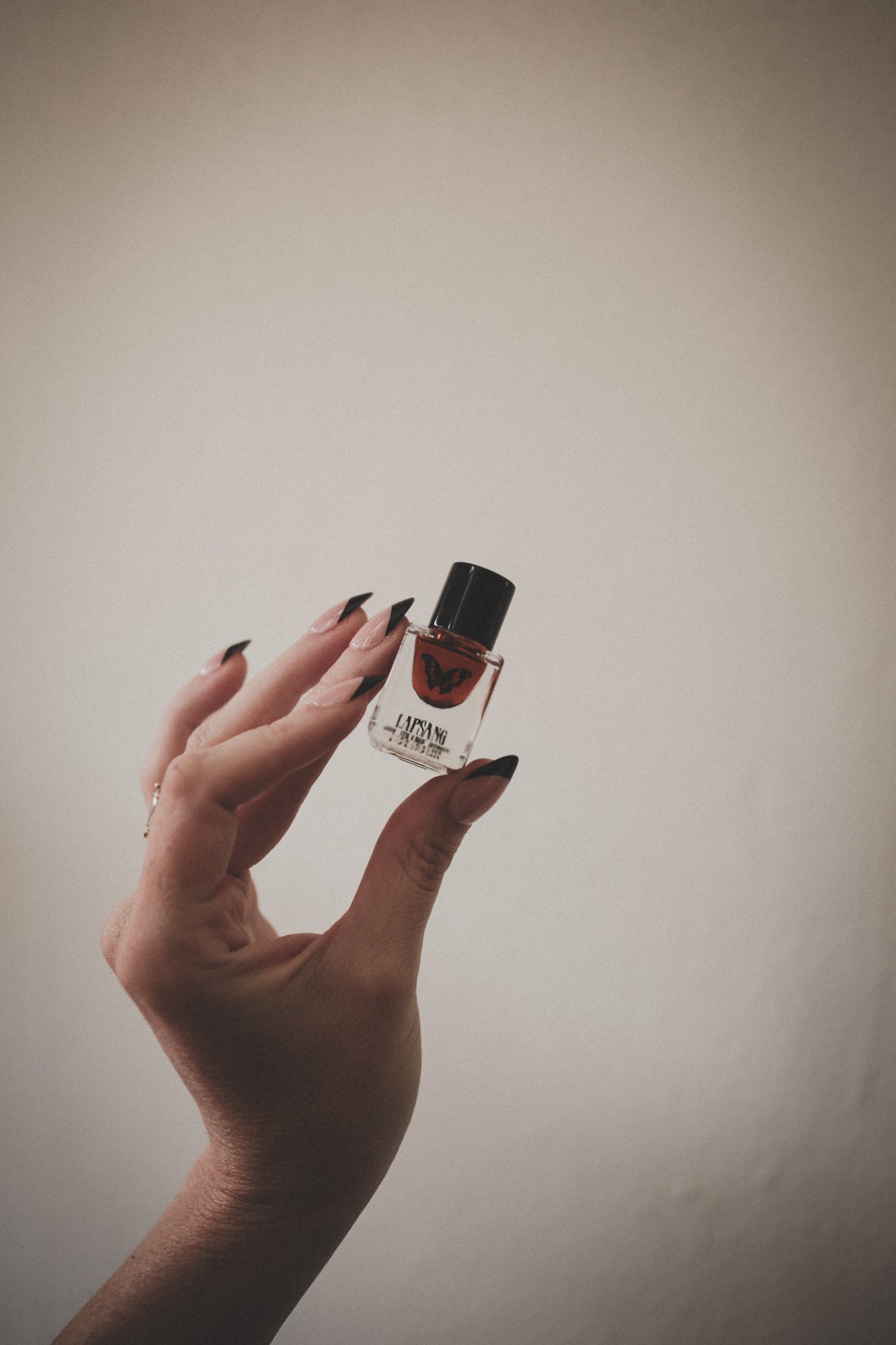 Lapsang - Accord Extrait