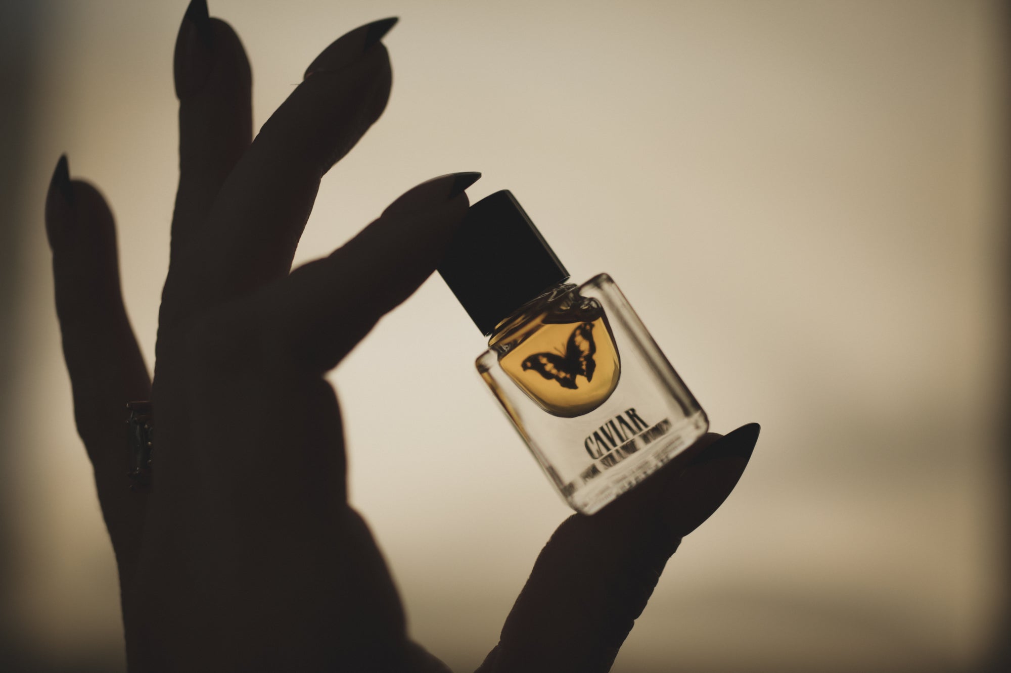 Caviar - Accord Extrait