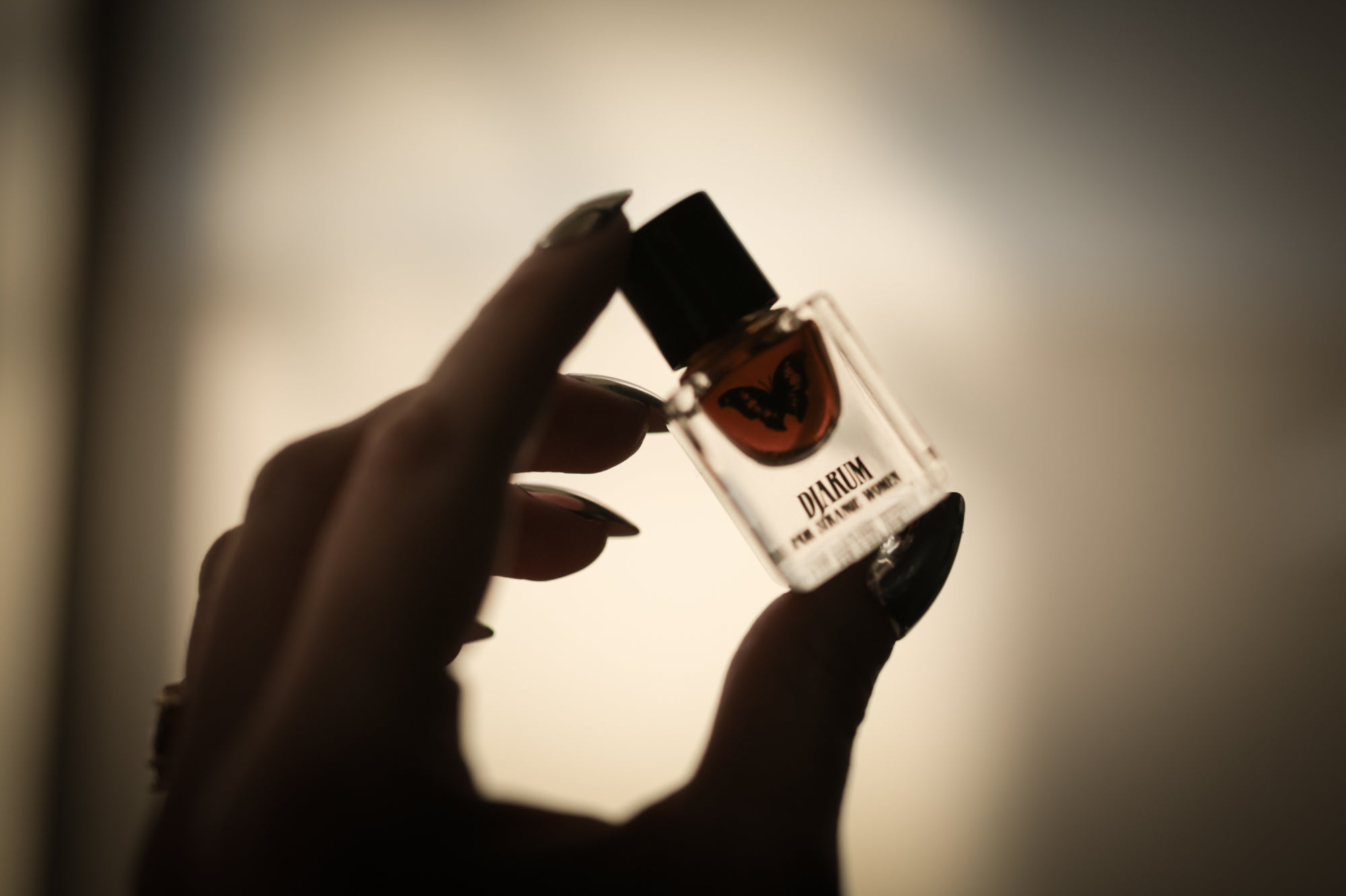 Djarum - Accord Extrait