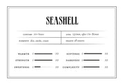 Seashell - Perfume for the 1.18.26 New Moon