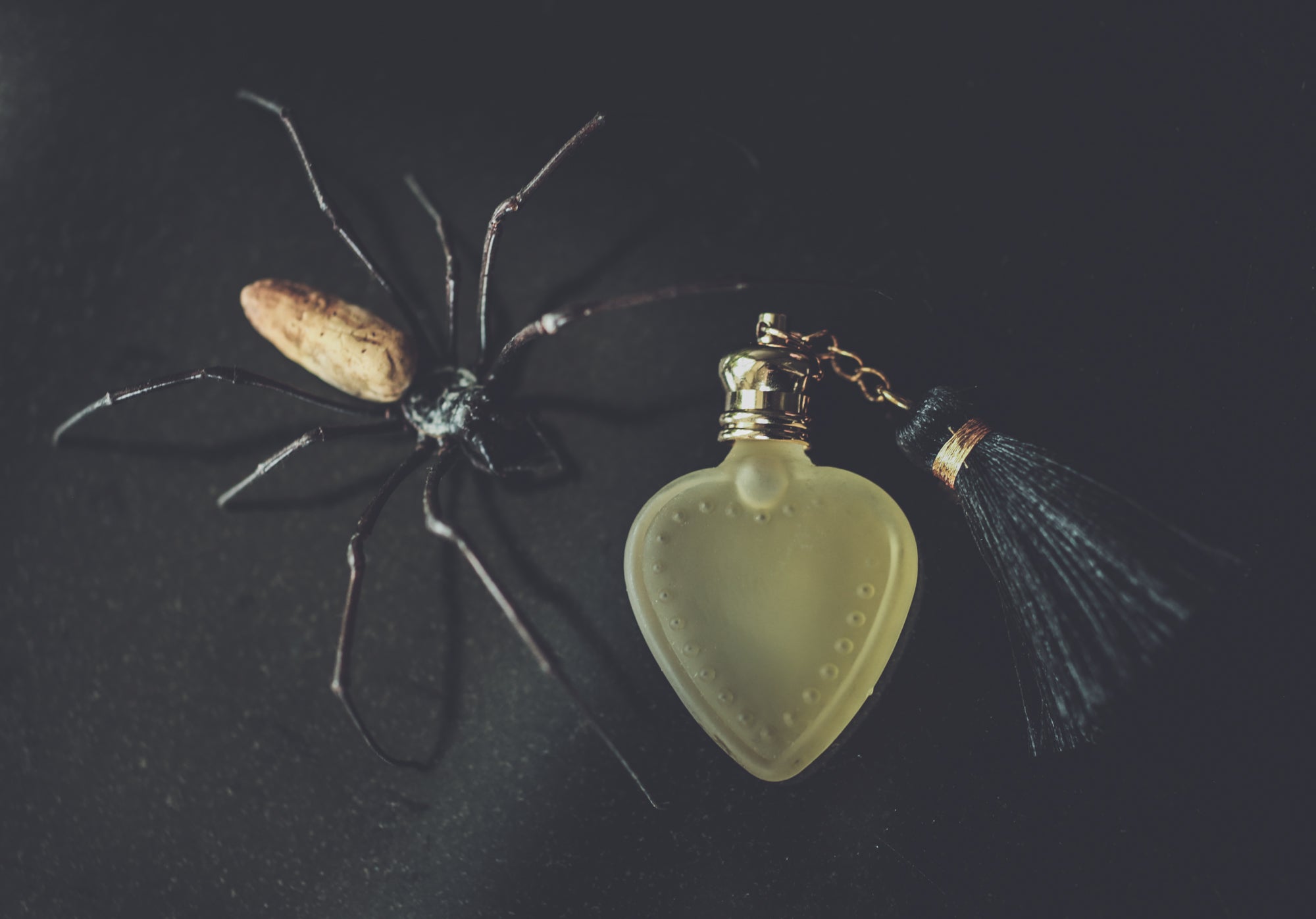 The NEW MOON Limited Edition Perfumes - Subscription