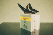Incense Paper