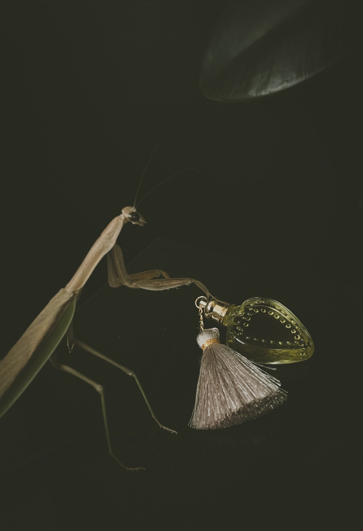 Mantis - Perfume for the 10.02.24 New Moon