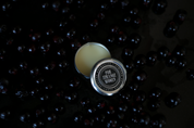 Blackcurrant - Perfume for the 8.12.26 New Moon