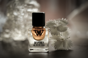 Dianthus - Accord Extrait