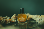 Trinity Site - Perfume for the 10.10.26 New Moon