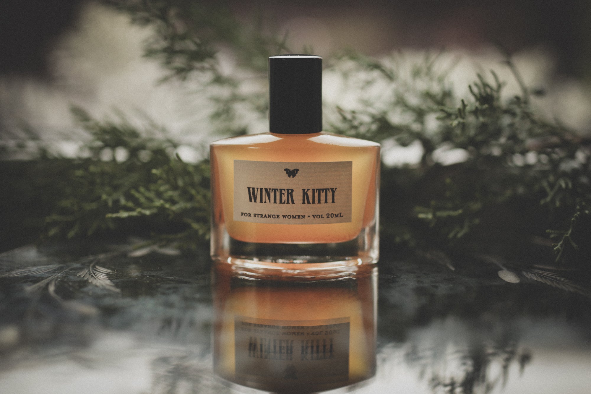 Winter Kitty™ - Perfume Oil