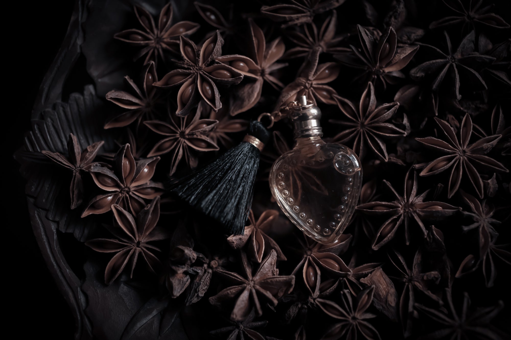 black_licorice-17_d8f0e61b-e834-46e5-979c-0220d42dfba8.jpg