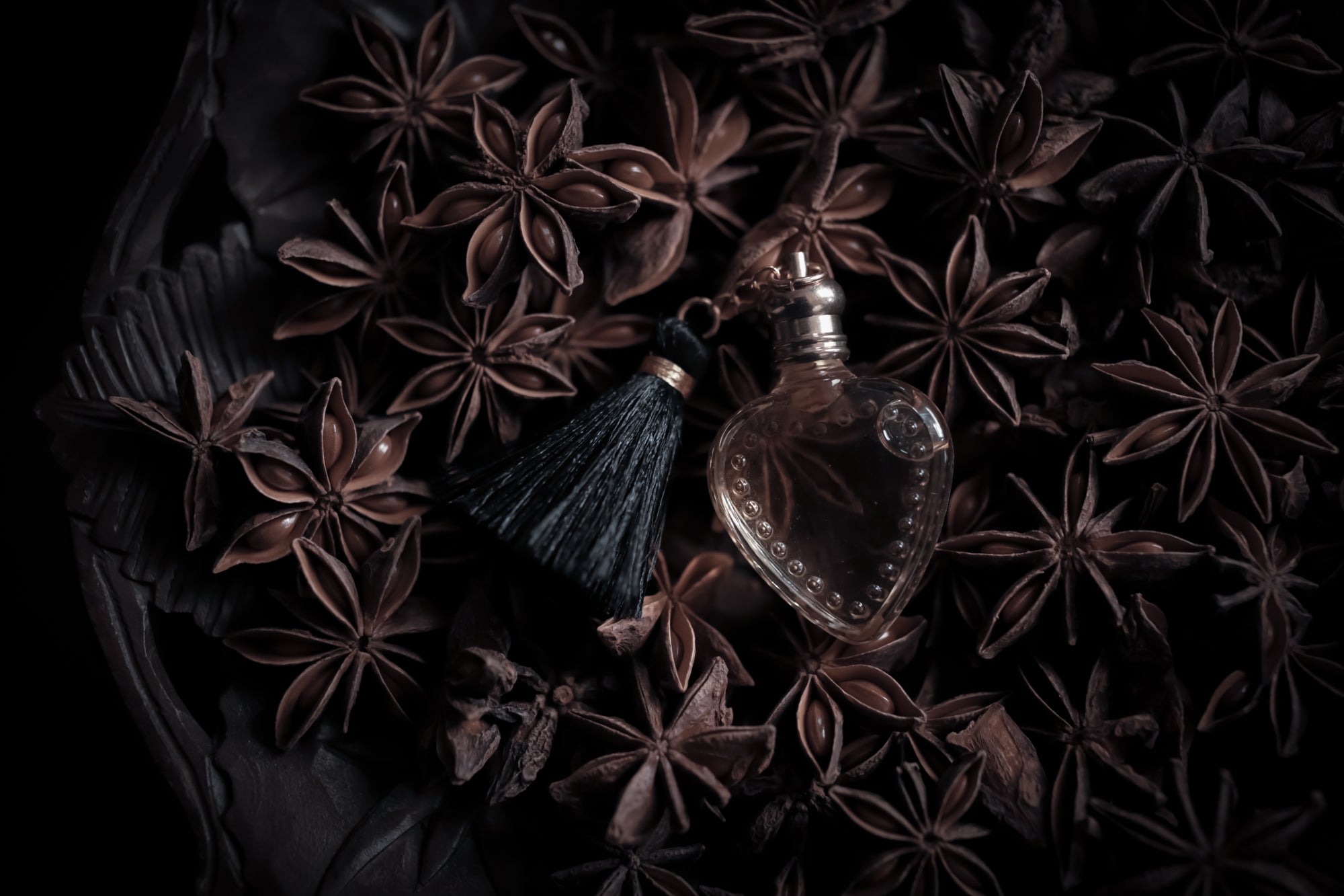 black_licorice-17_d8f0e61b-e834-46e5-979c-0220d42dfba8.jpg