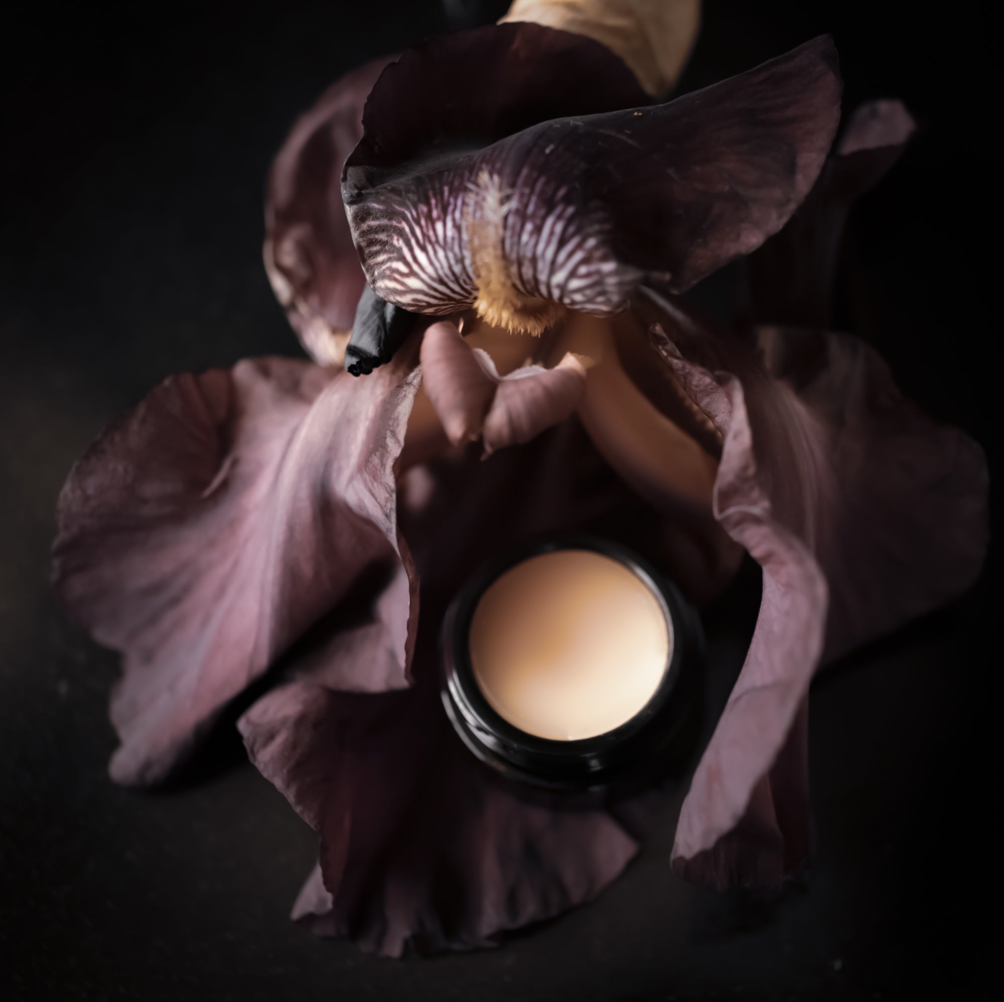 blackiris-053.jpg