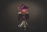 Black Iris - Perfume Oil