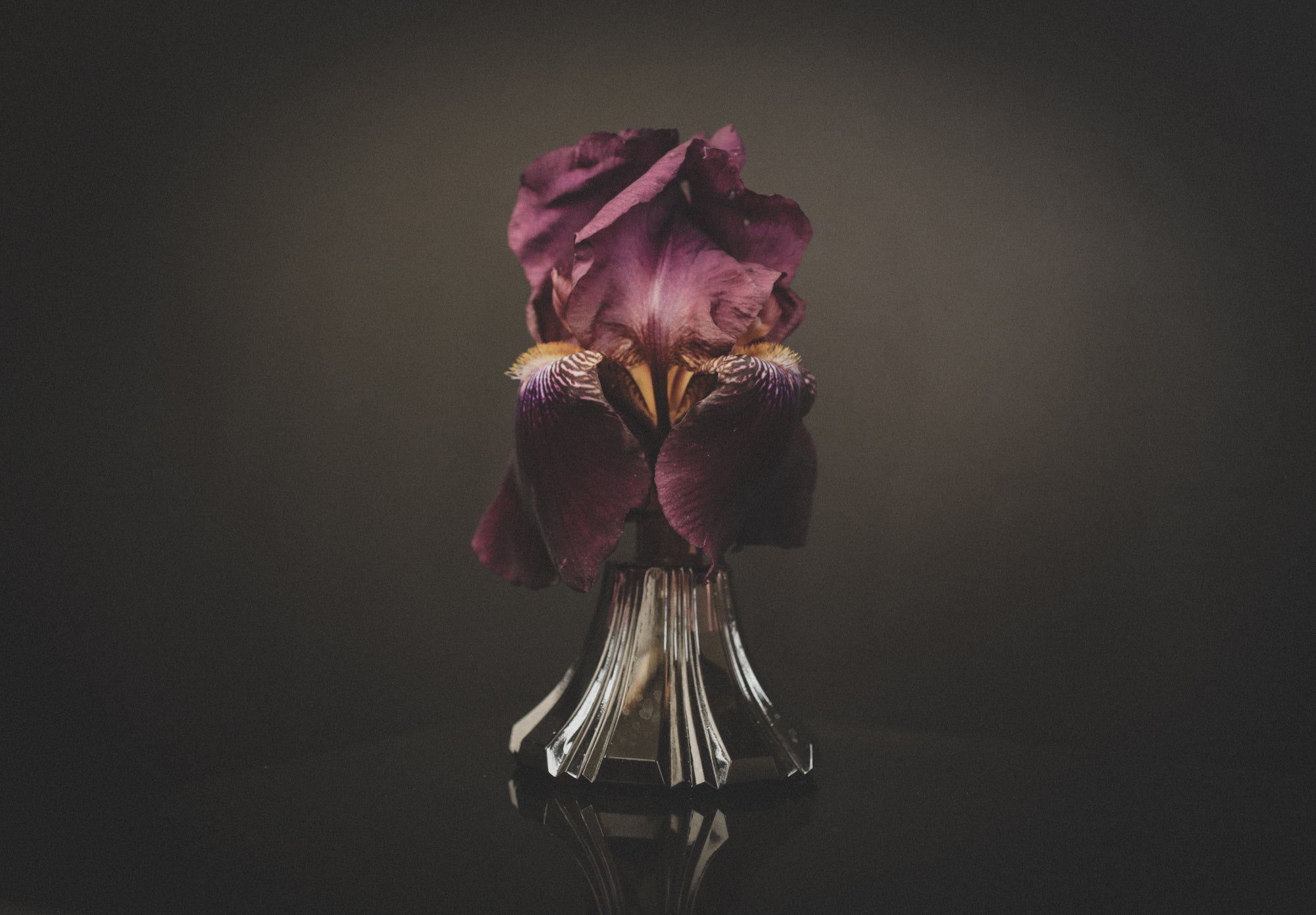 Black Iris - Perfume Oil