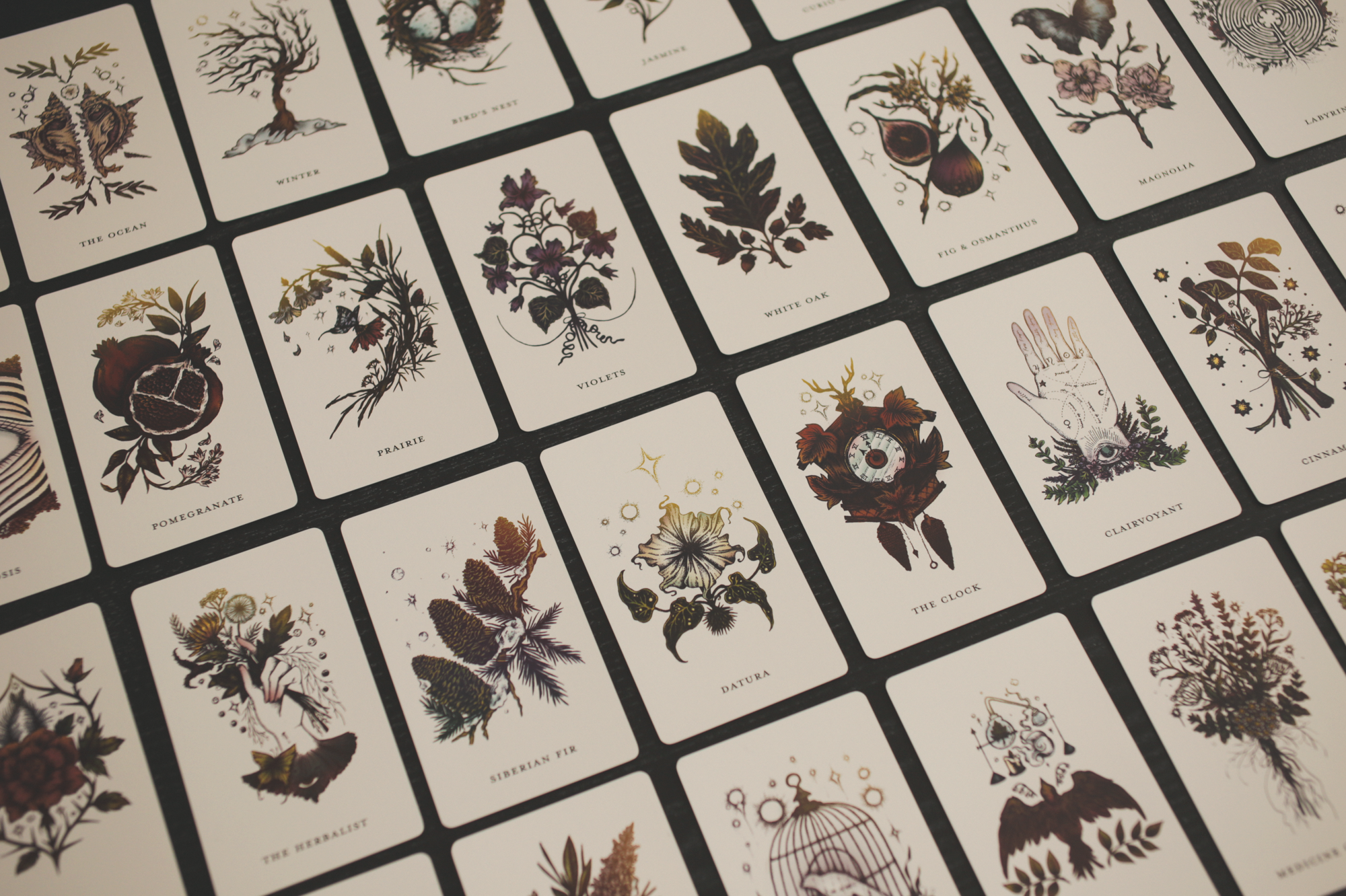 The Botanical Oracle (Wholesale) 6 decks