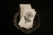 The Botanical Oracle (Wholesale) 6 decks