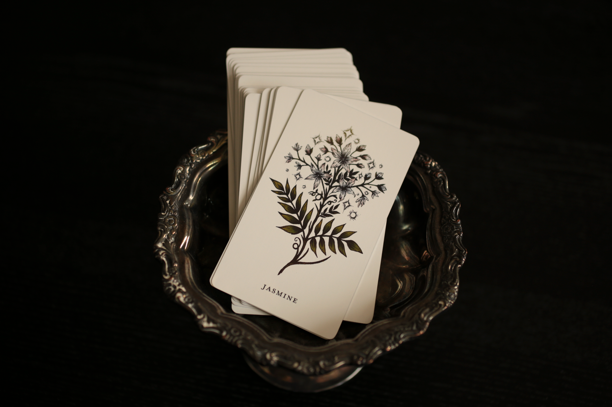 The Botanical Oracle (Wholesale) 6 decks