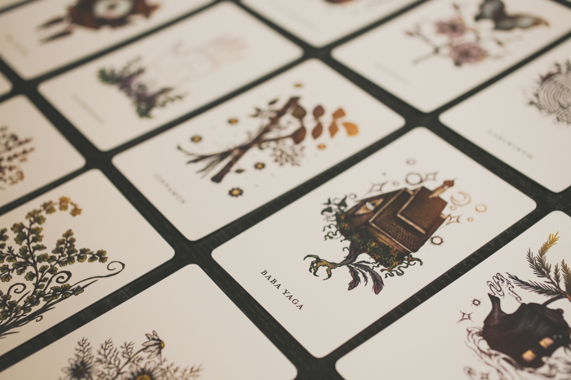 The Botanical Oracle (Wholesale) 6 decks