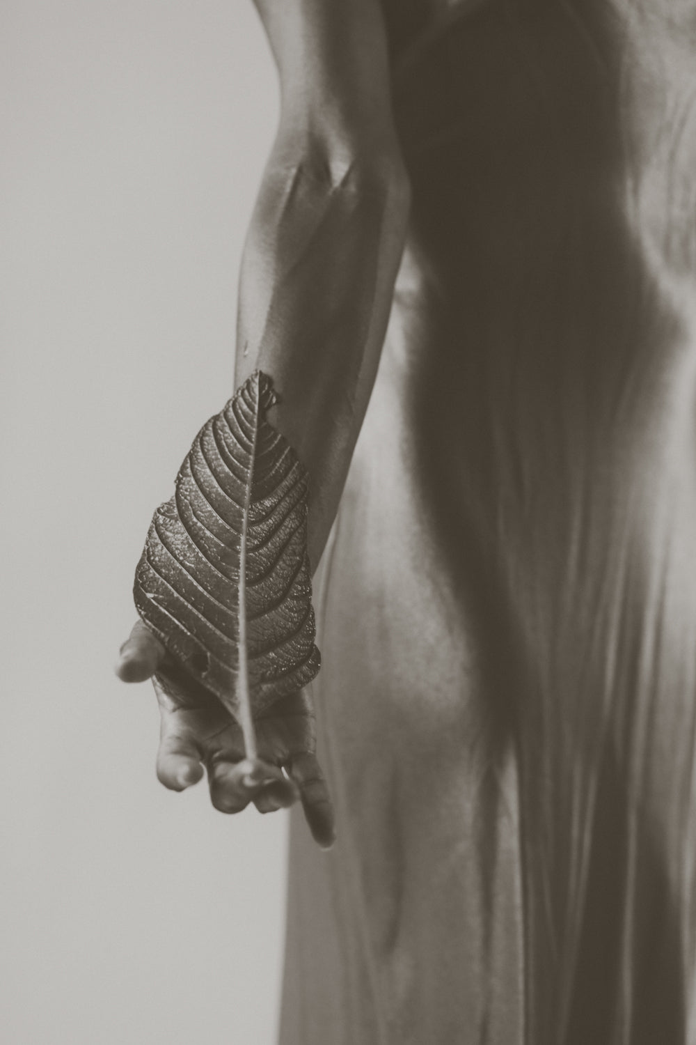 constance_MF_leaf_4.jpg