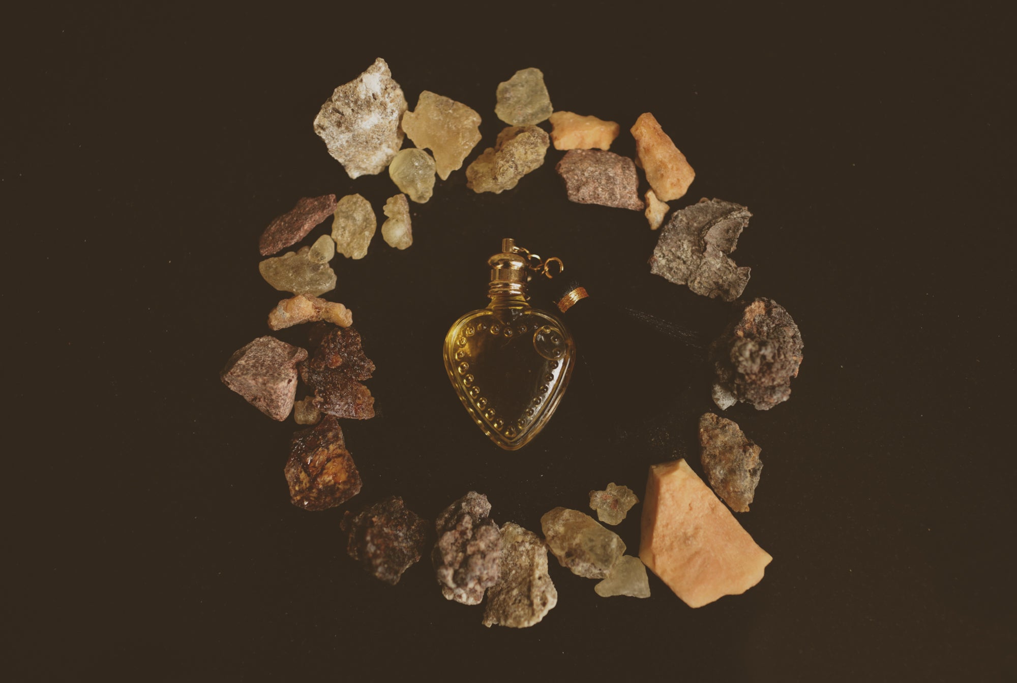 dark_harvest_perfume-31.jpg