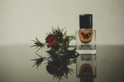 Dianthus - Accord Extrait