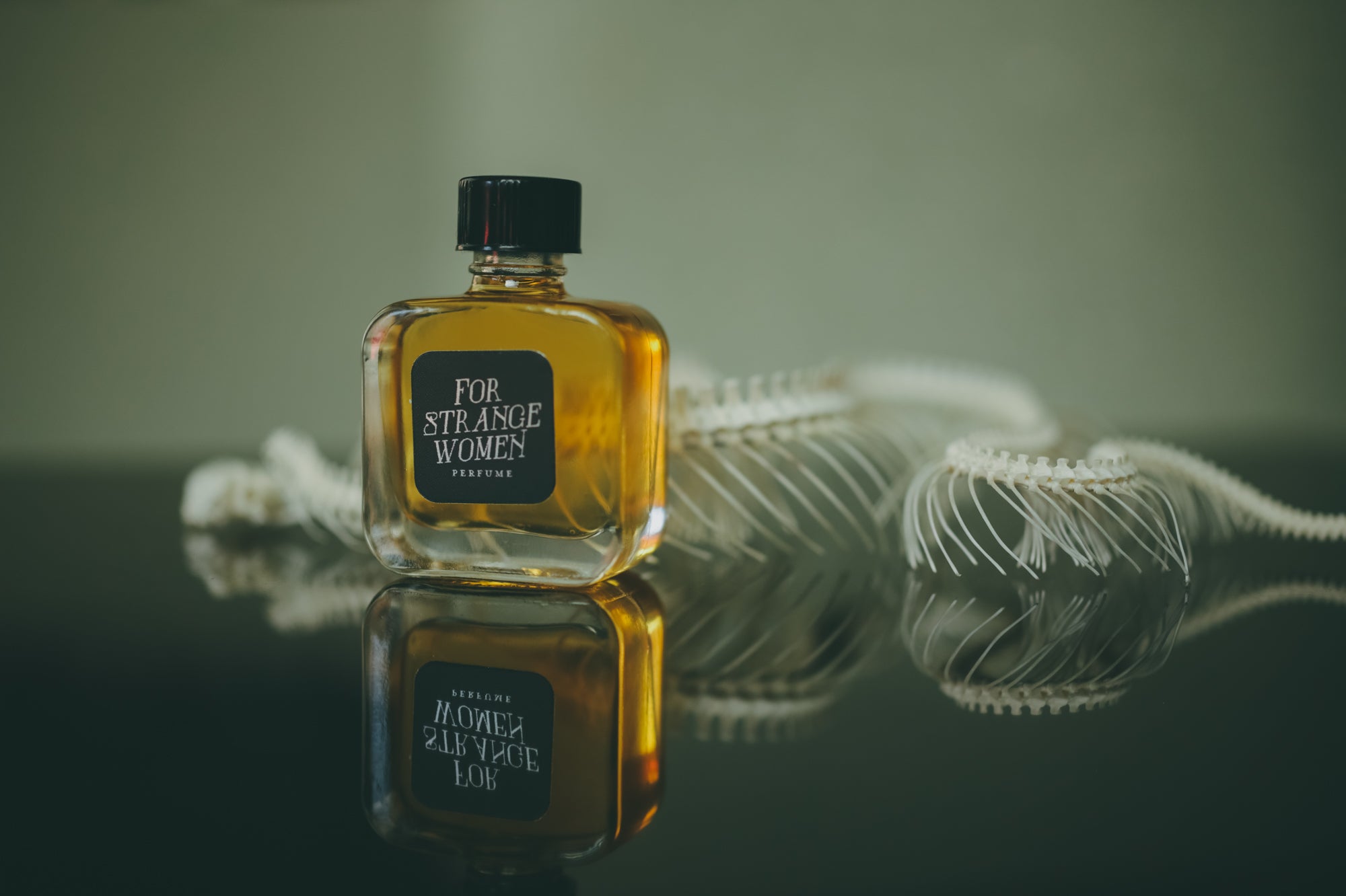 Ghost Town- Perfume for the 10.21.25 New Moon