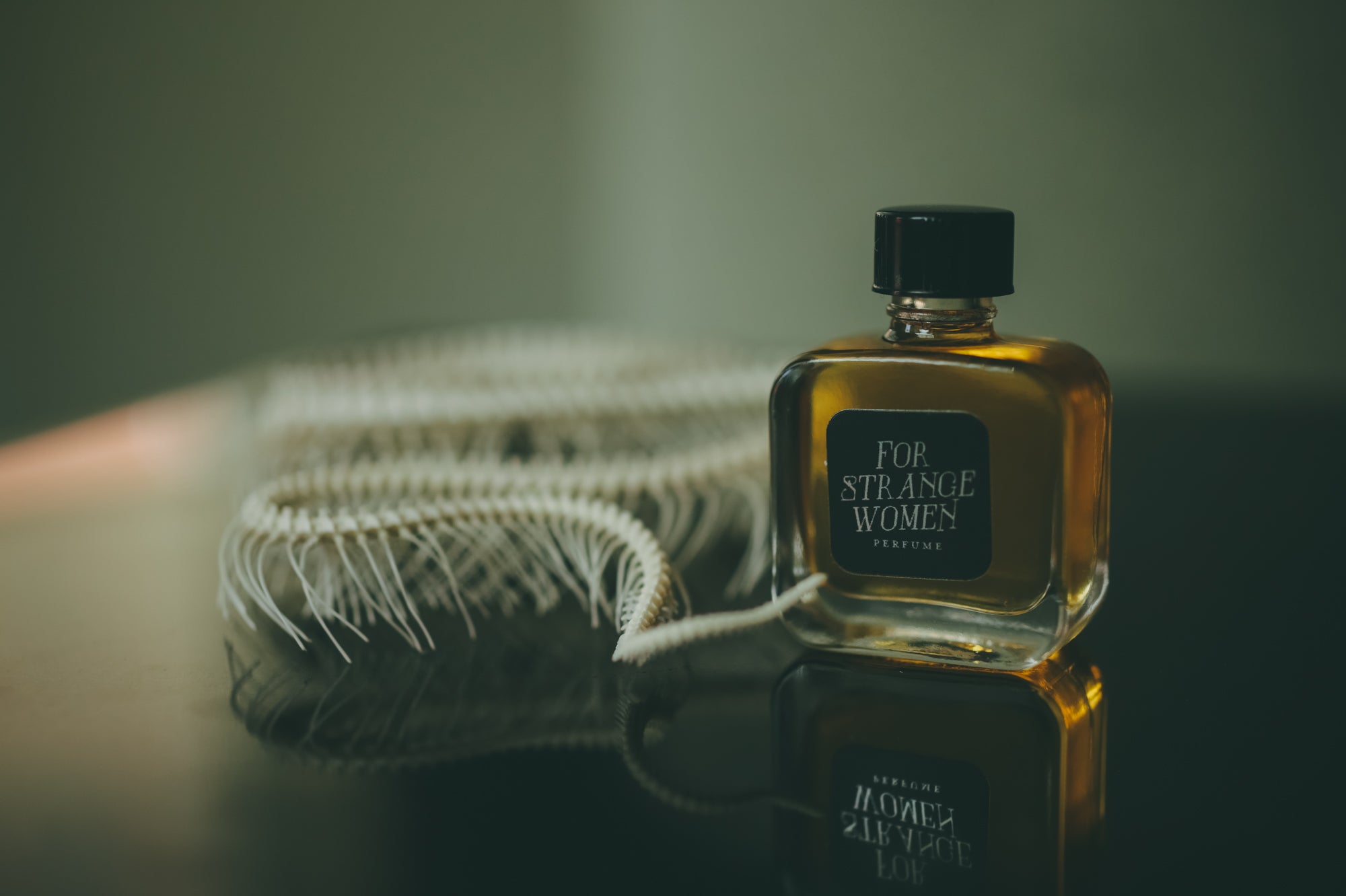Ghost Town- Perfume for the 10.21.25 New Moon