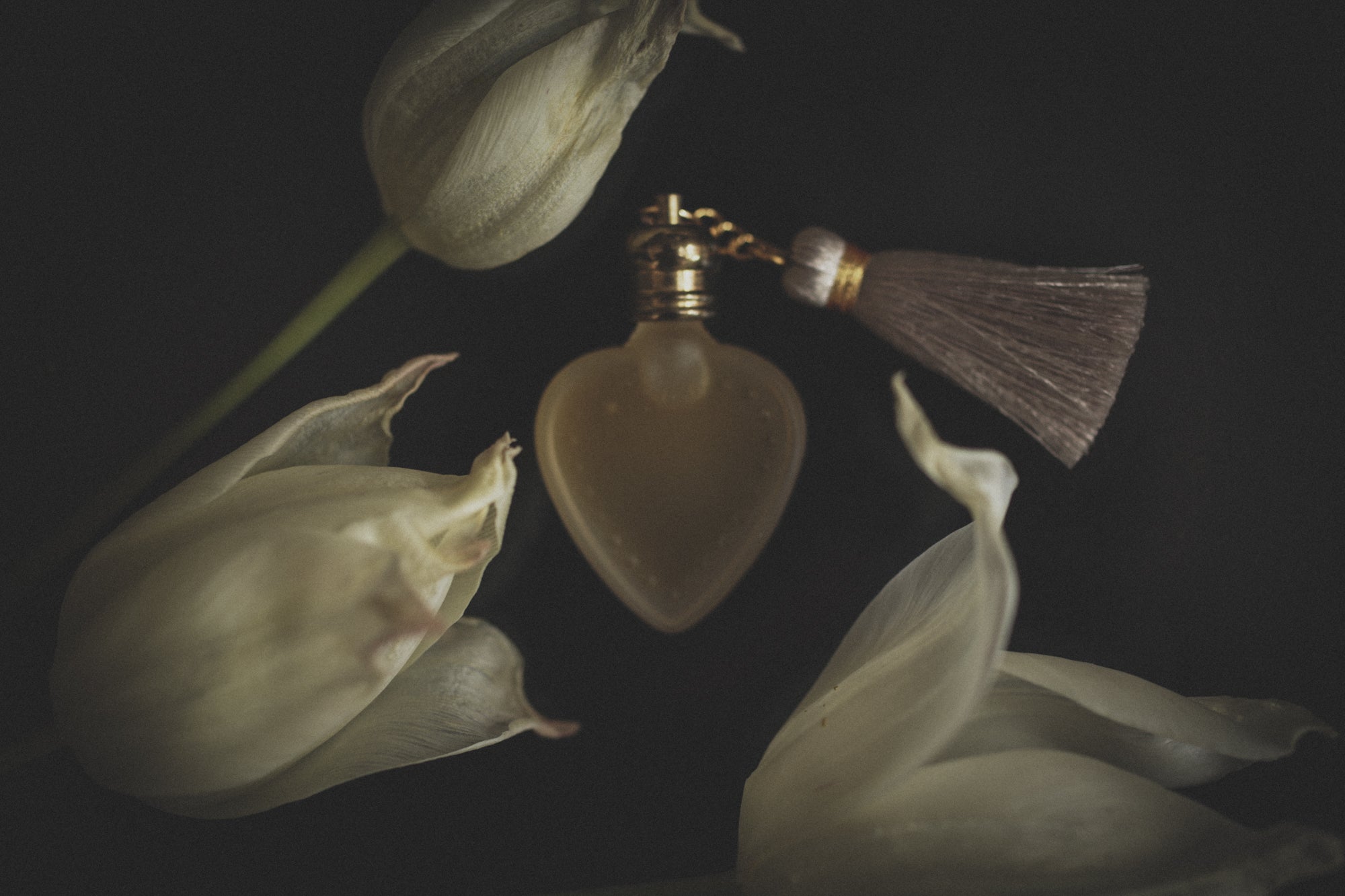 ghost_town_perfume-38.jpg