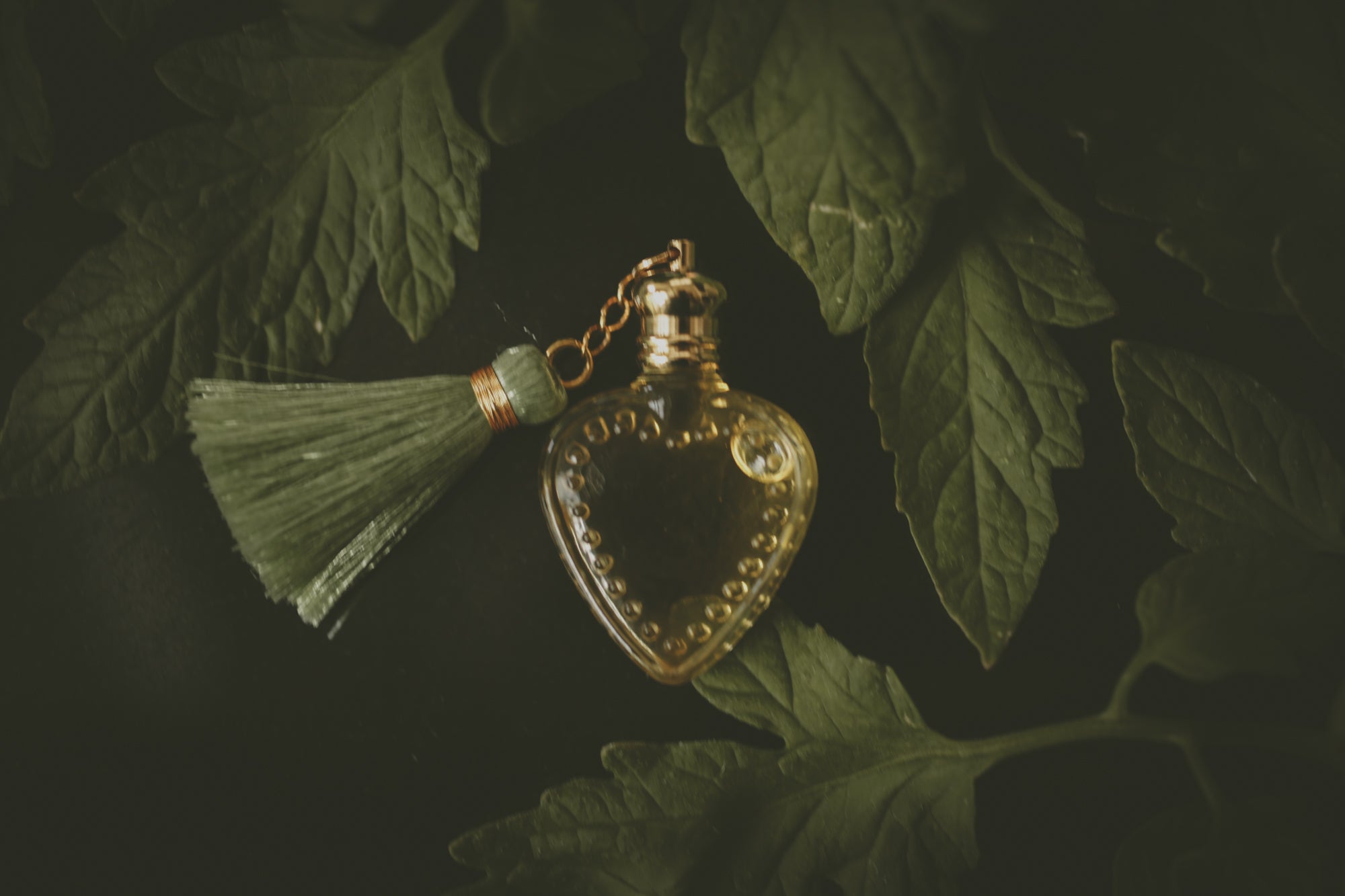 Nightshaded - Perfume for the 07.24.25 New Moon