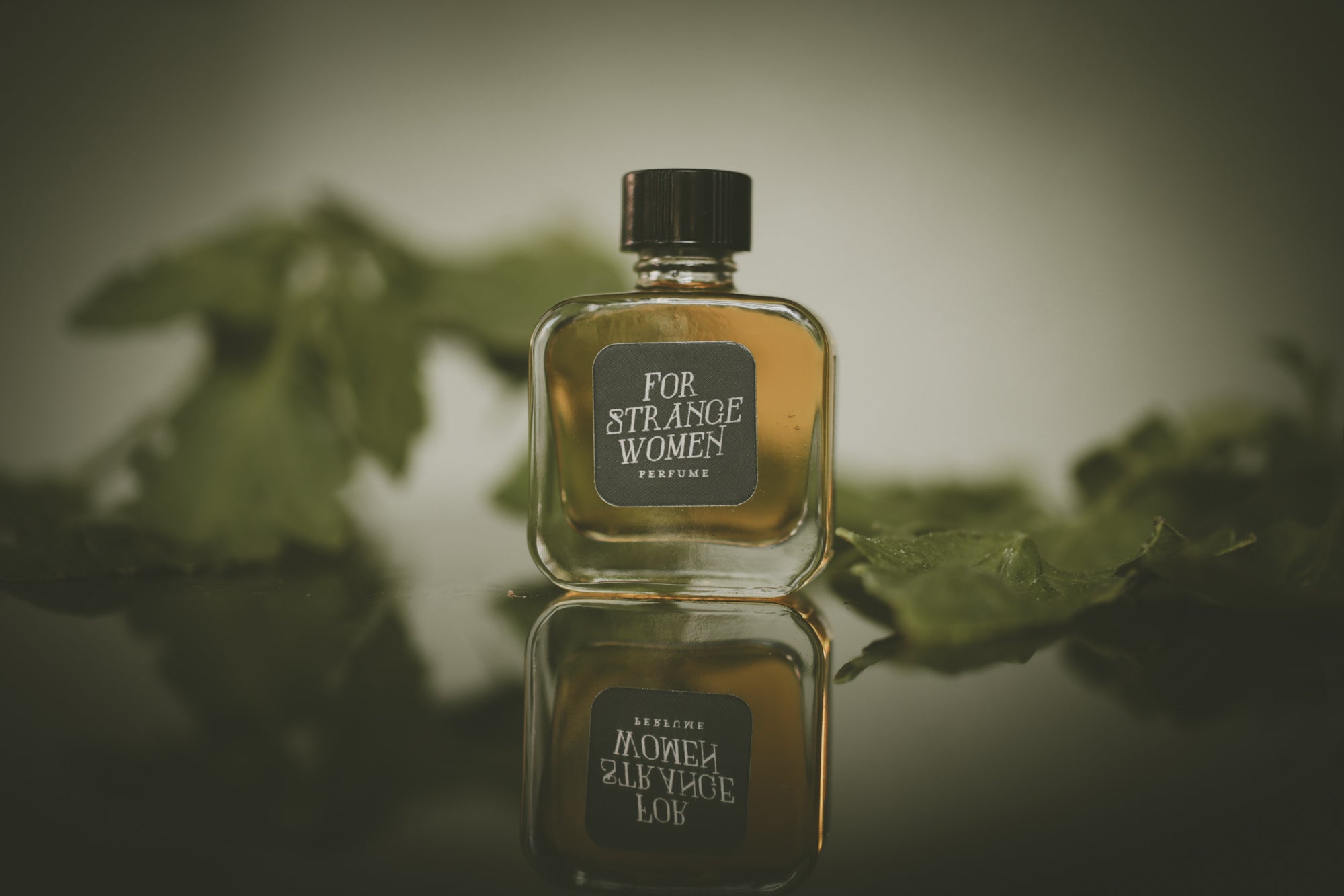 Nightshaded - Perfume for the 07.24.25 New Moon