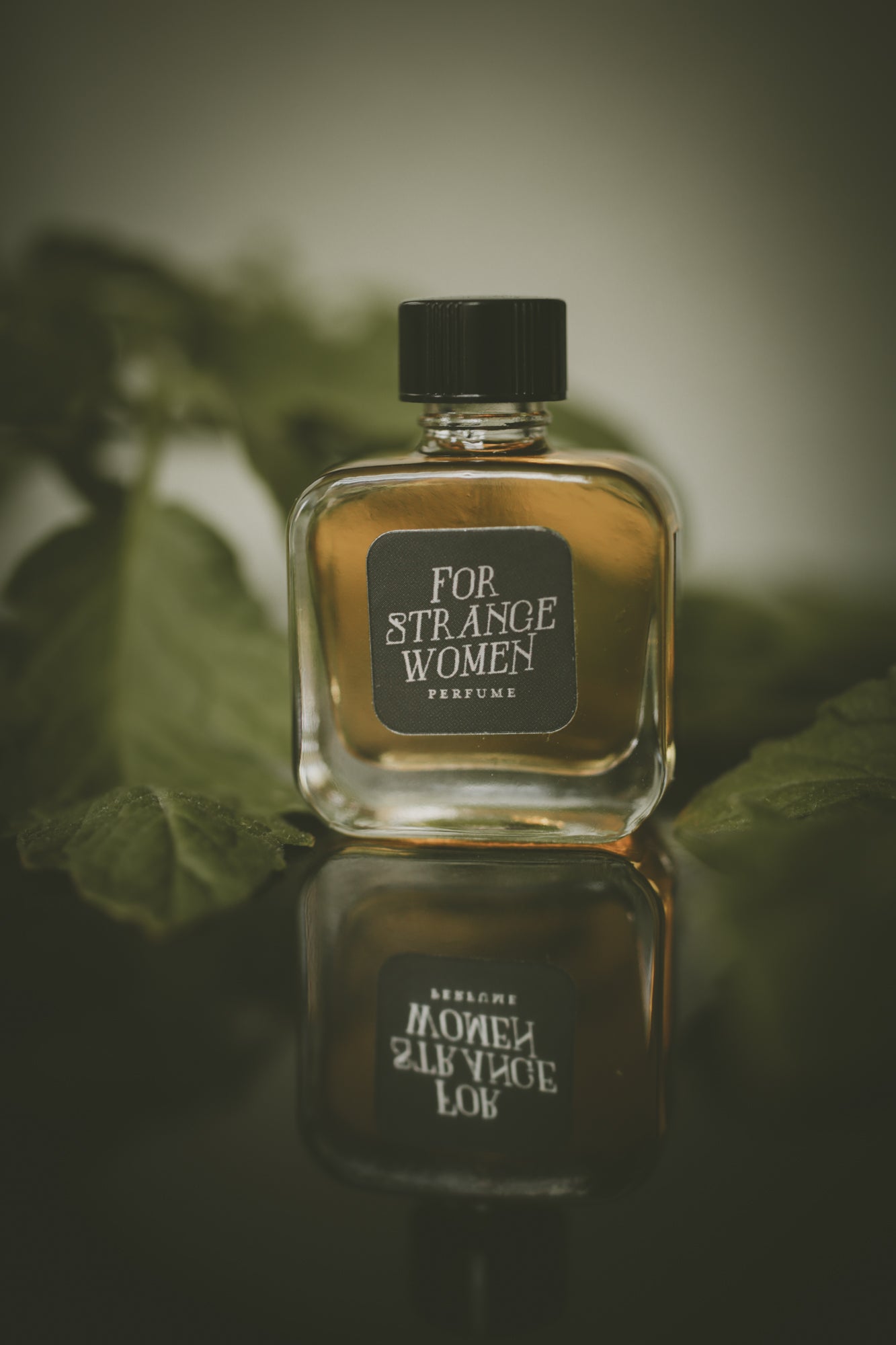 Nightshaded - Perfume for the 07.24.25 New Moon