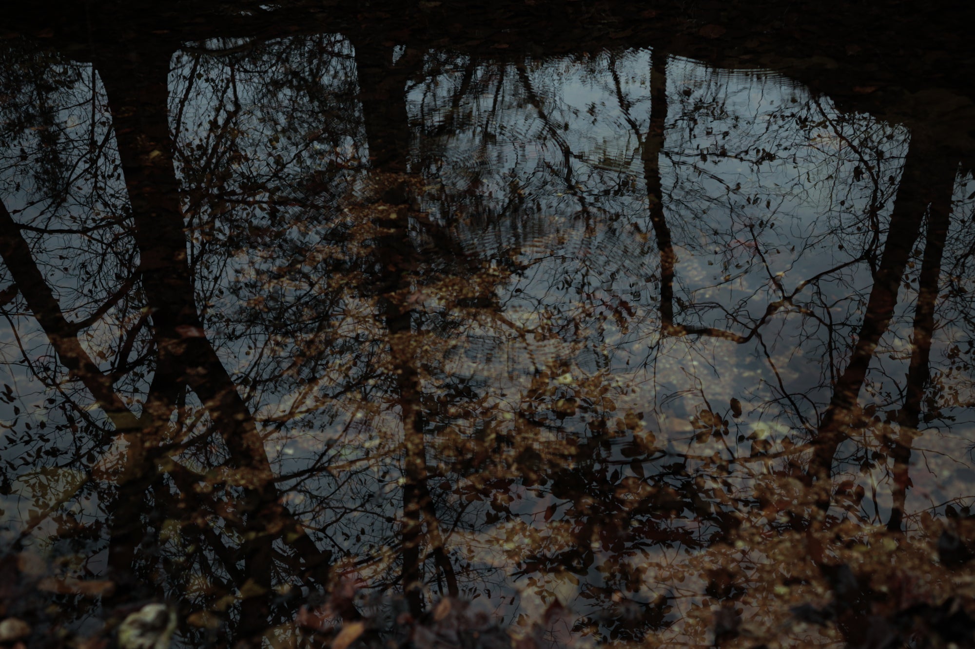 ozarks-053.jpg