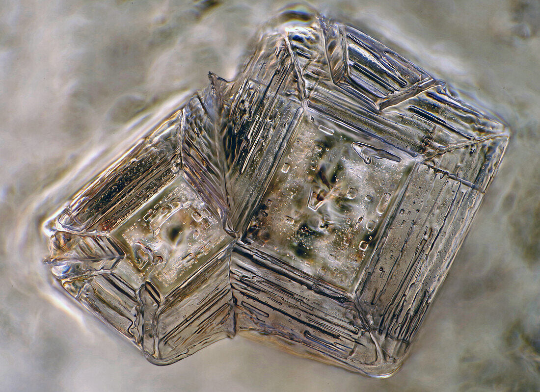 salt_crystal.jpg