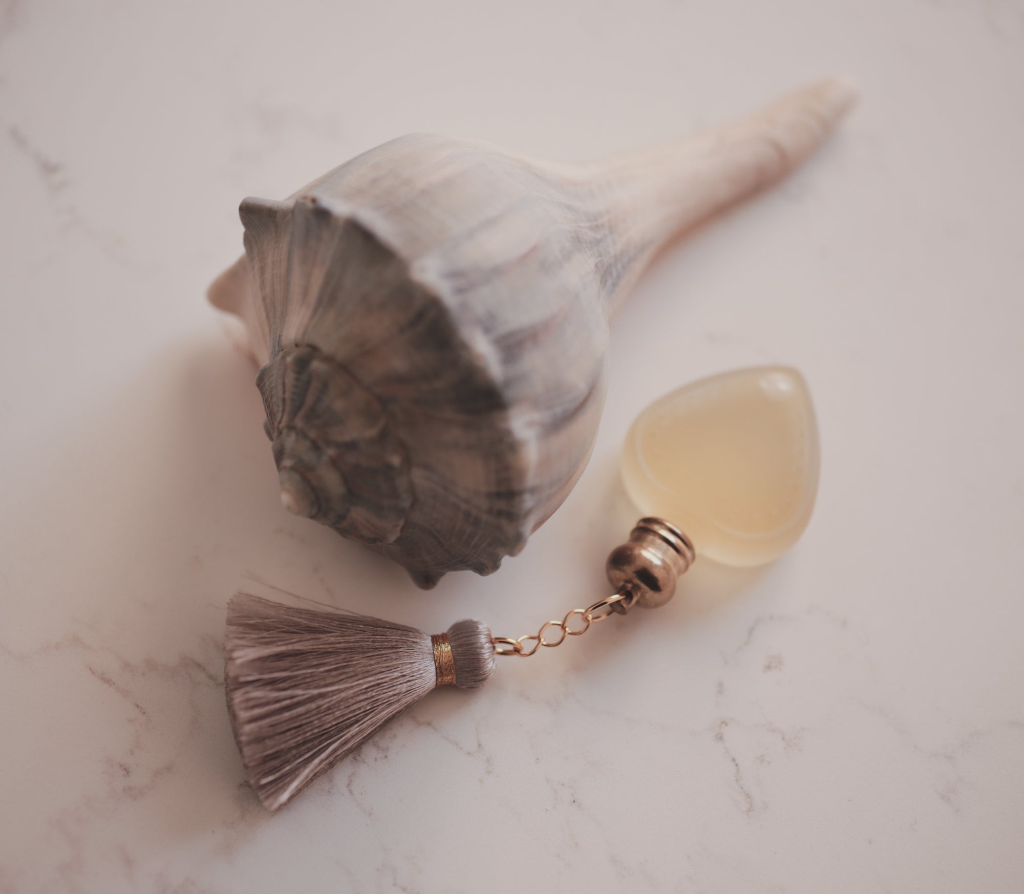 Seashell - Perfume for the 1.18.26 New Moon