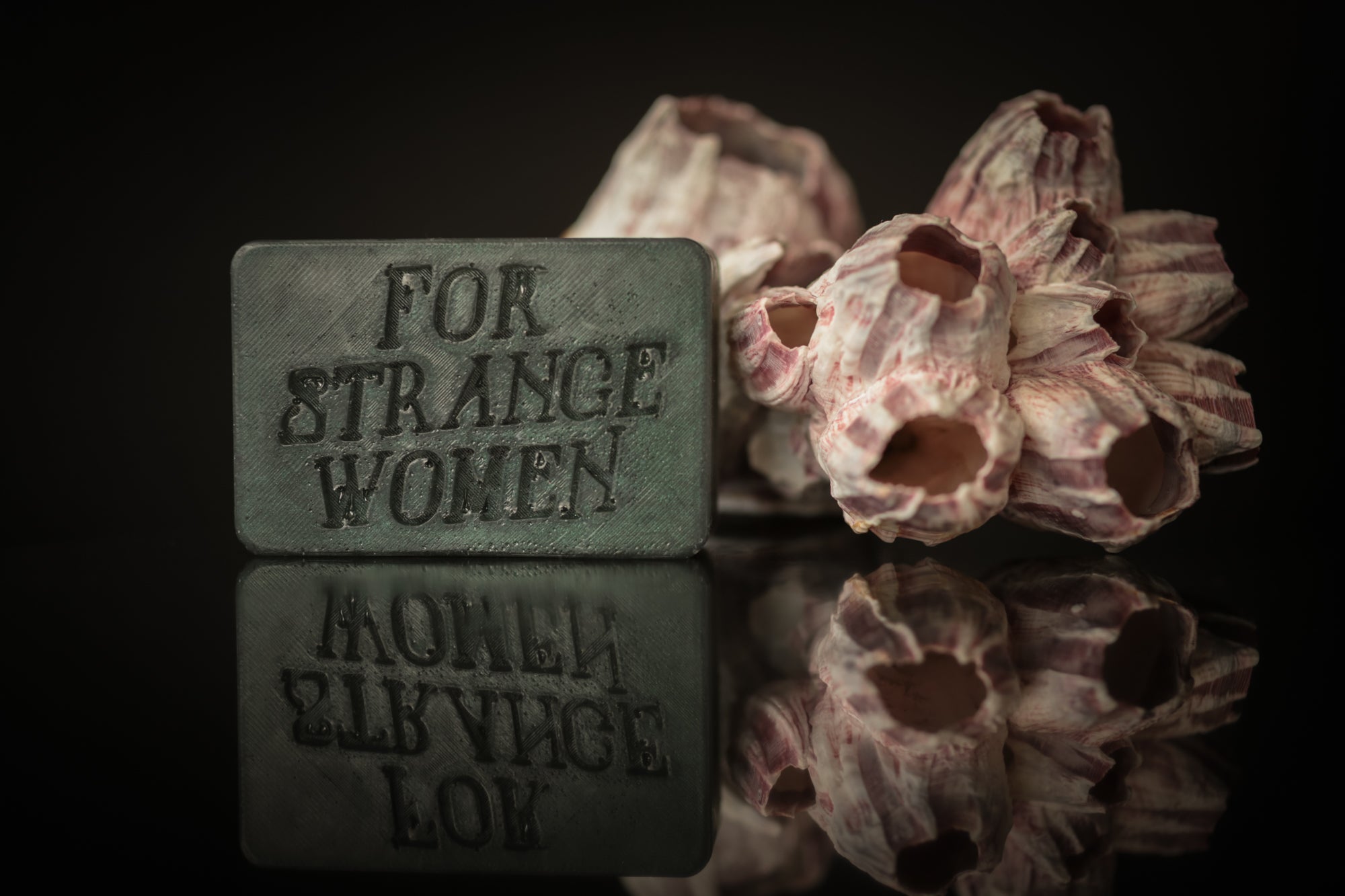 Selkie Soap