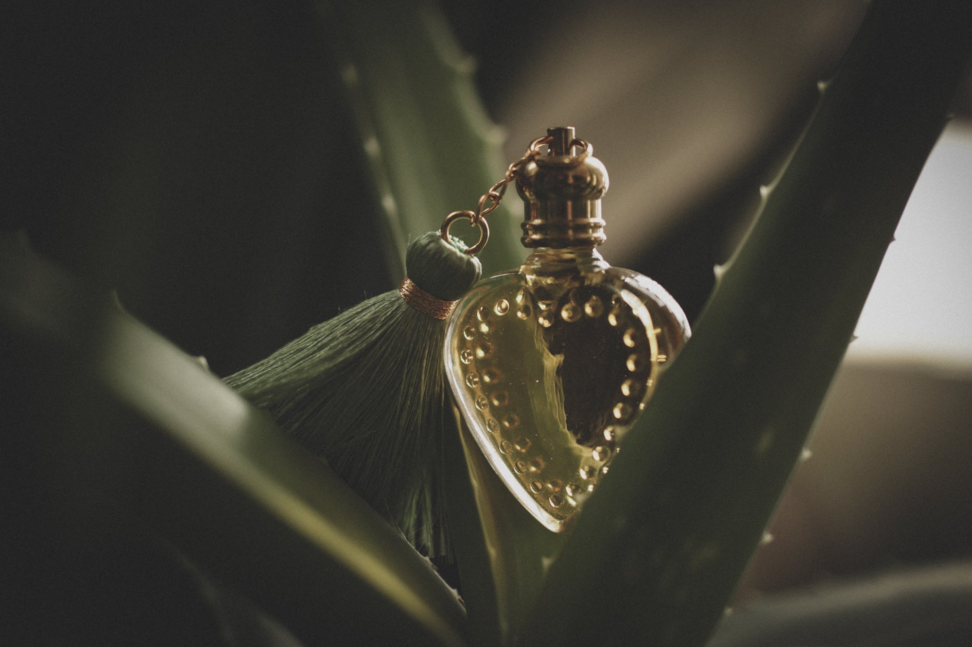 Solarium- Perfume for the 3.18.26 New Moon