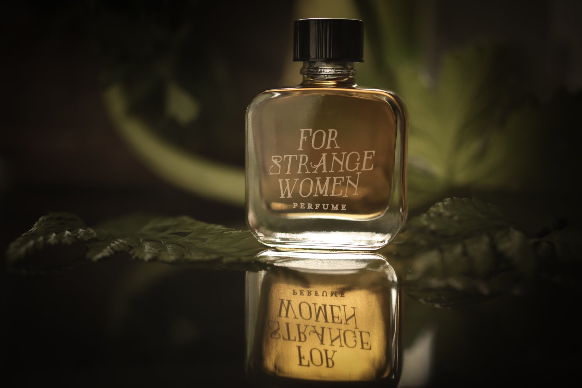 Solarium- Perfume for the 3.18.26 New Moon