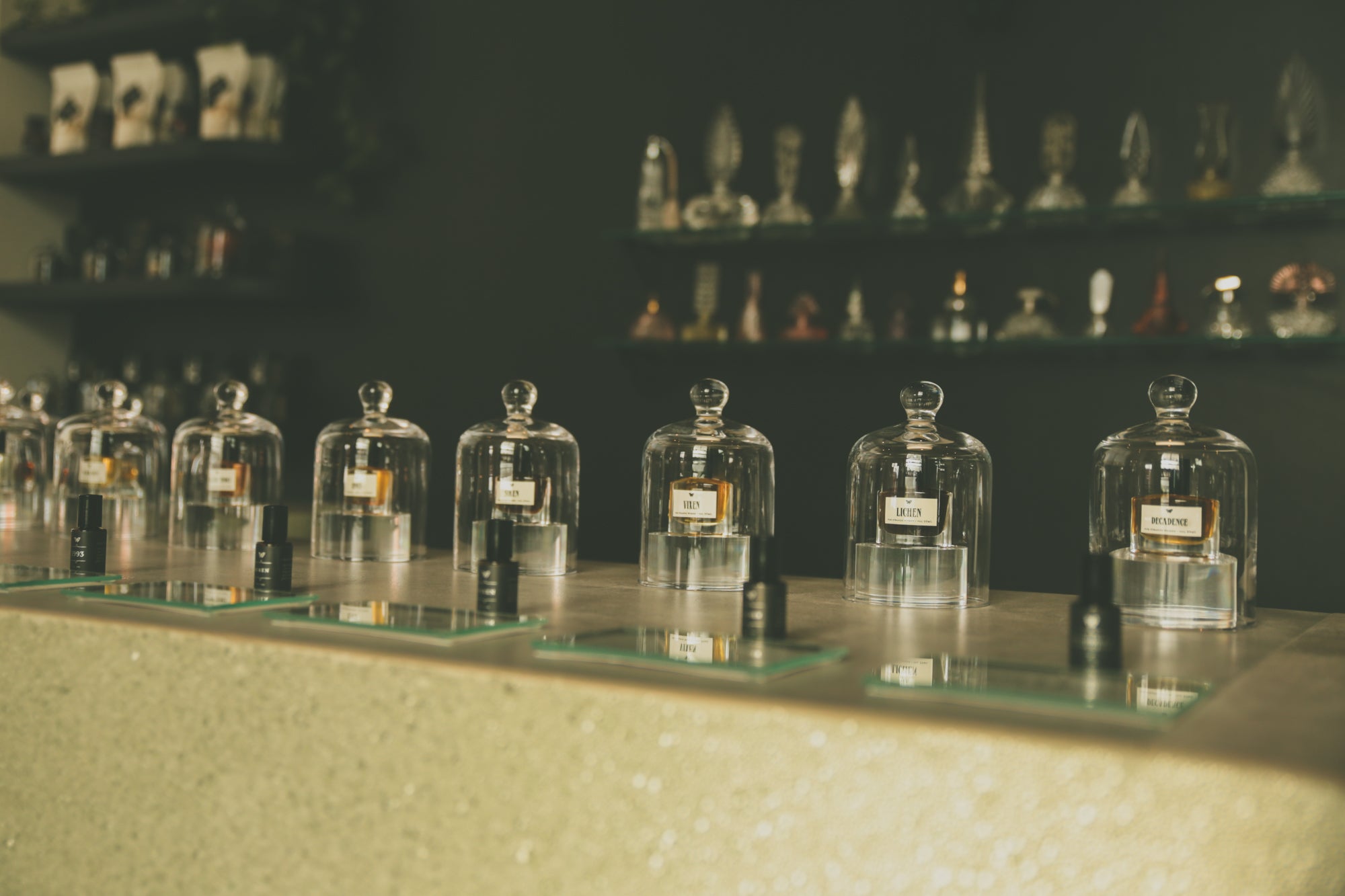 studio_2026-18.jpg