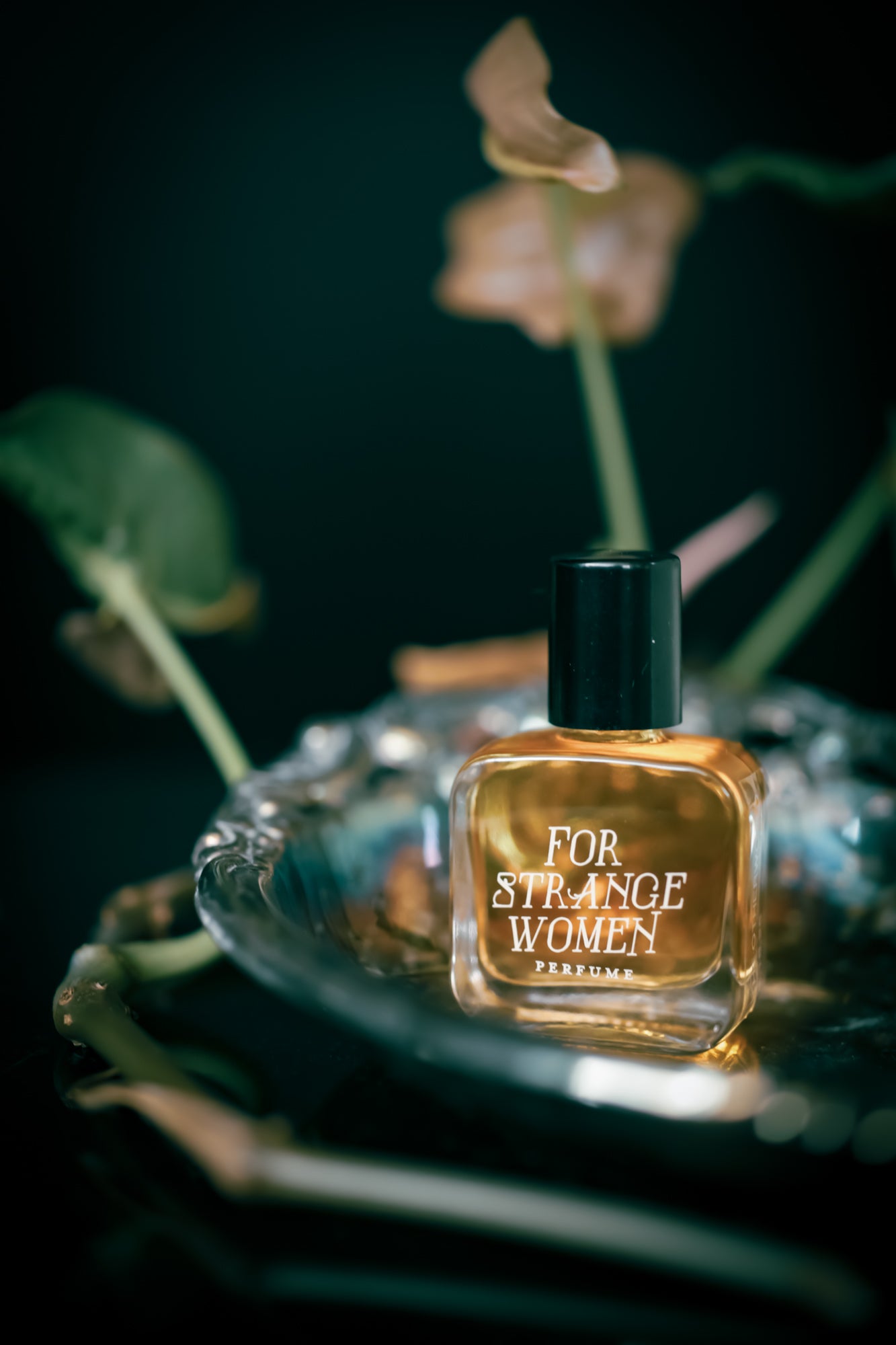 The Otherworld - Perfume for the 5.16.26 New Moon
