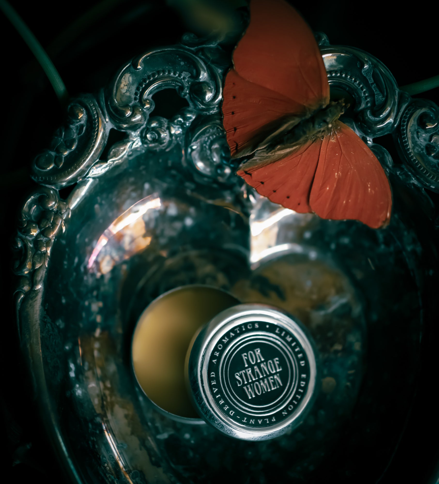 The Otherworld - Perfume for the 5.16.26 New Moon
