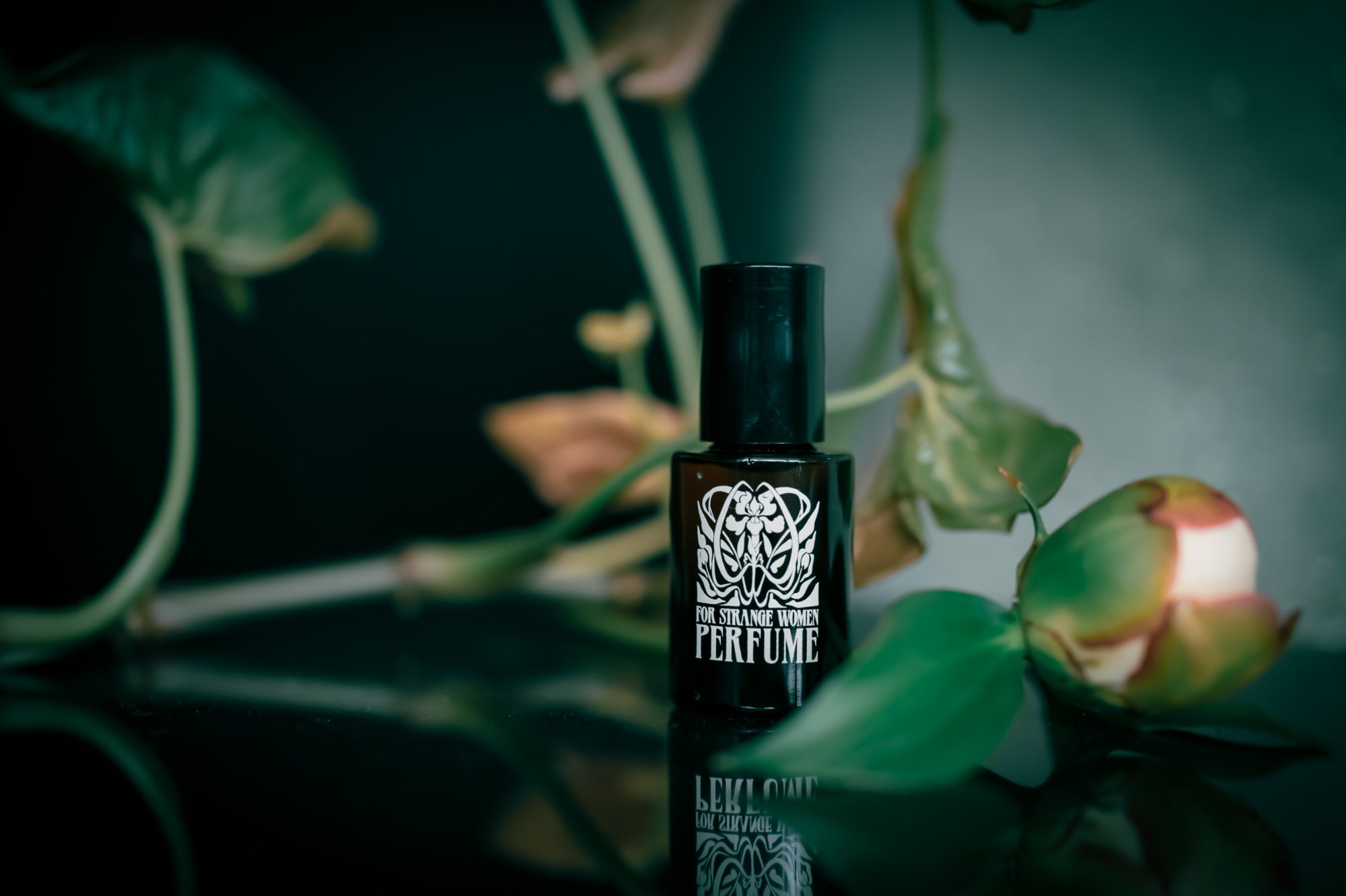 The Otherworld - Perfume for the 5.16.26 New Moon
