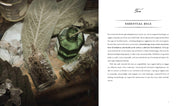 Book- The Spirit of Botany