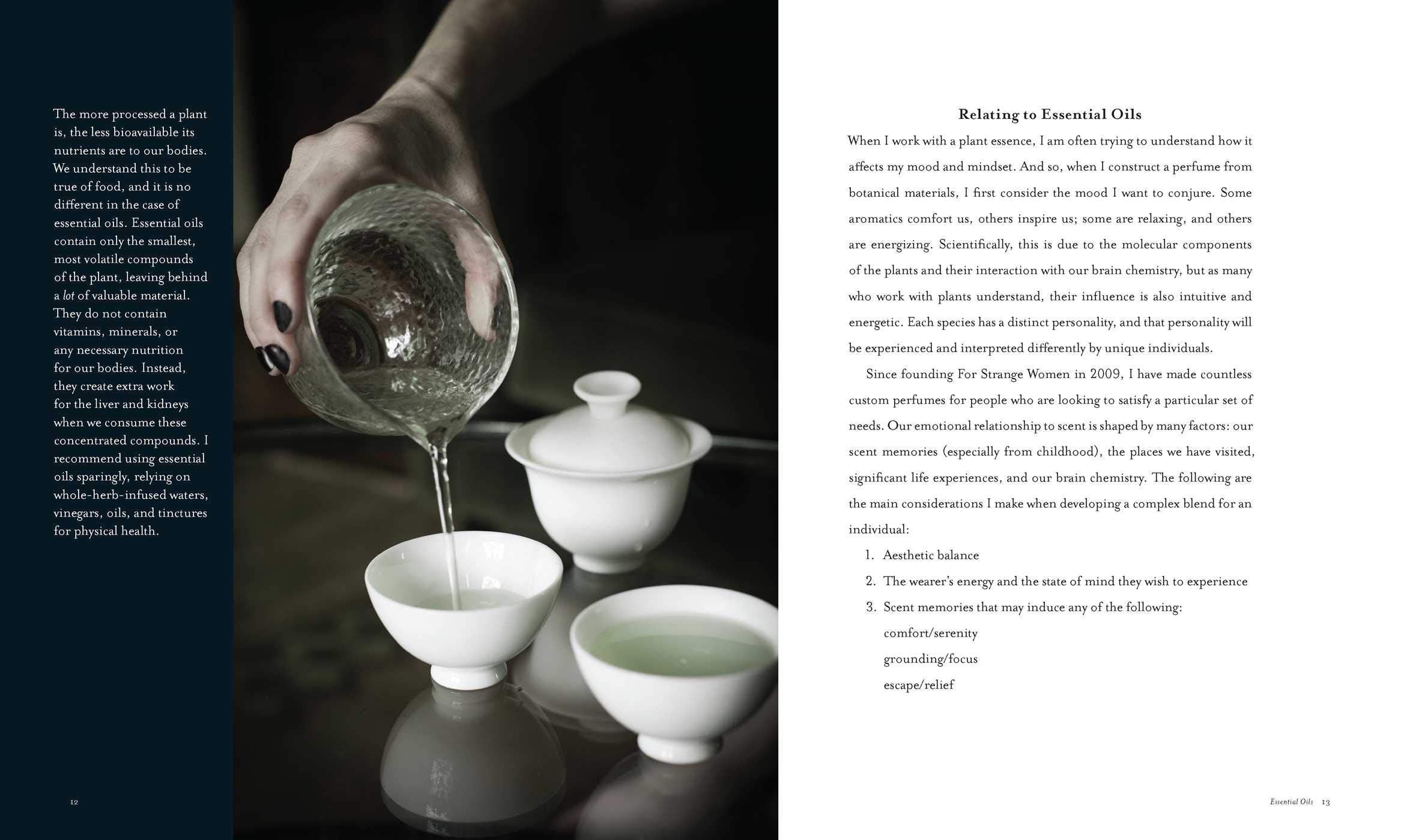 Book- The Spirit of Botany