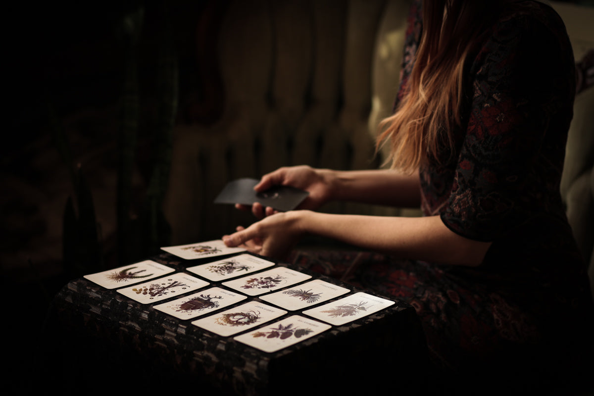 The Botanical Oracle