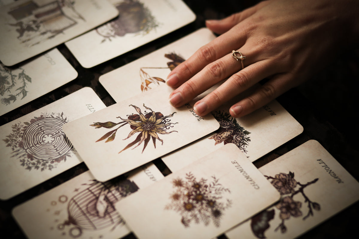 the_botanical_oracle_deck-38.jpg